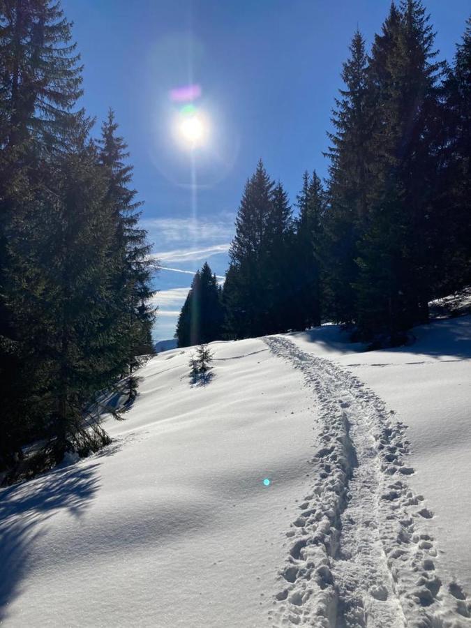 Apartment Kumitzblick Obersdorf 外观 照片