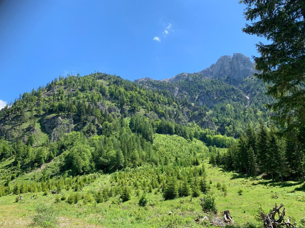 Apartment Kumitzblick Obersdorf 外观 照片